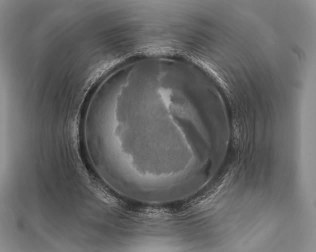 X0000112100487200908041514