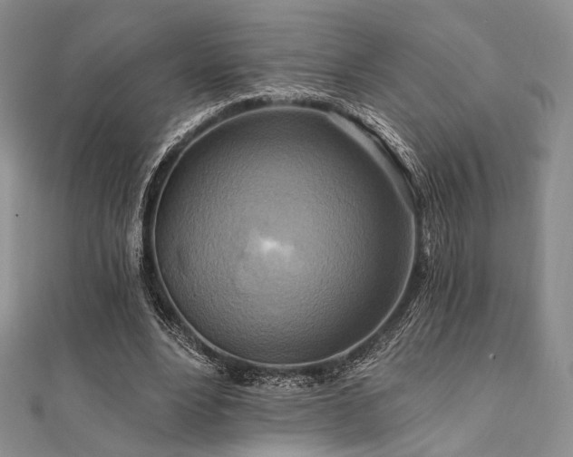 X0000112100488200908041514
