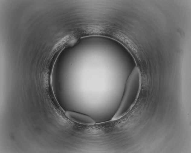 X0000112100489200908041514