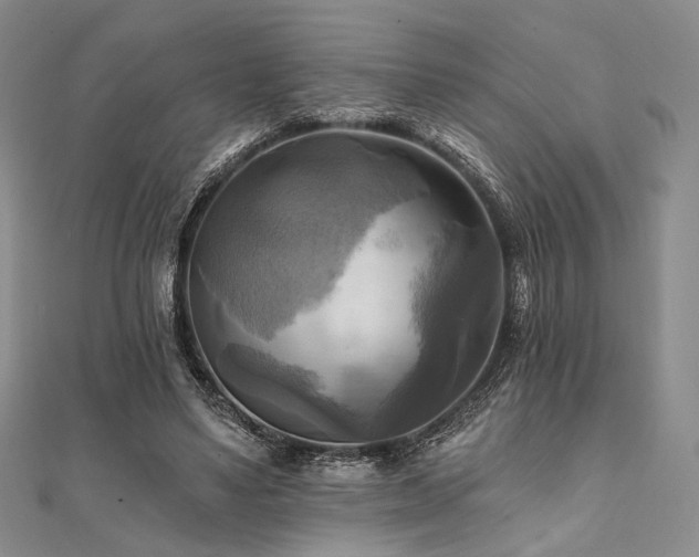 X0000112100491200908041514