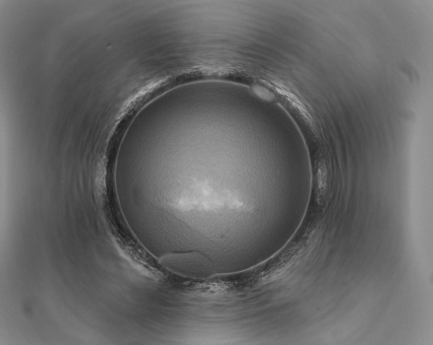 X0000112100492200908041514