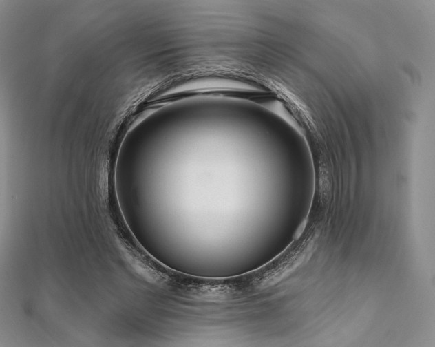 X0000112100493200908041514