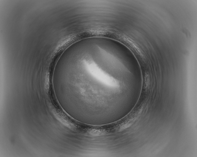X0000112100494200908041514