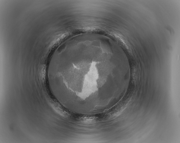 X0000112100495200908041514