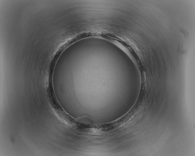 X0000112100496200908041514