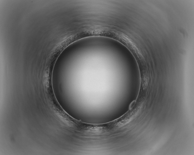 X0000112100497200908041514