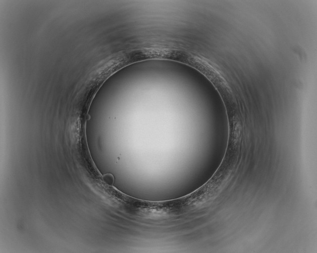 X0000112100498200908041514