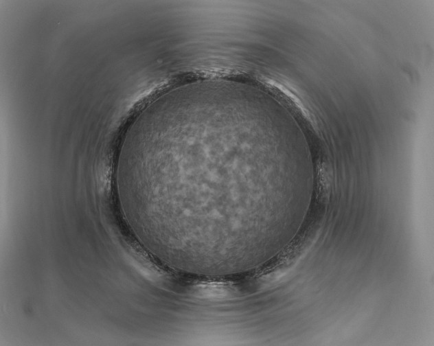 X0000112100499200908041514