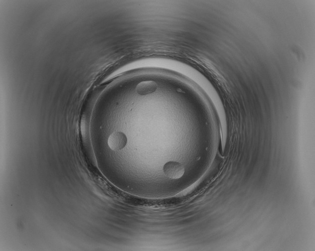 X0000112100500200908041514