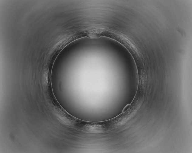 X0000112100501200908041514