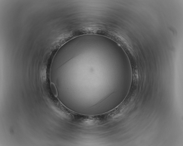 X0000112100504200908041514