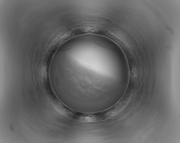 X0000112100506200908041514