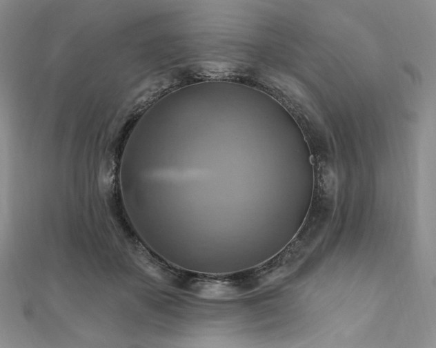 X0000112100507200908041514