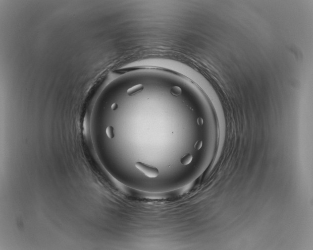 X0000112100508200908041514