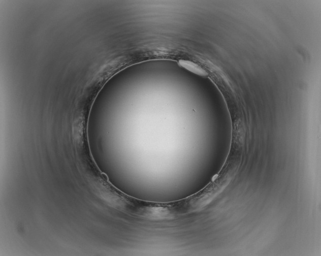 X0000112100509200908041514