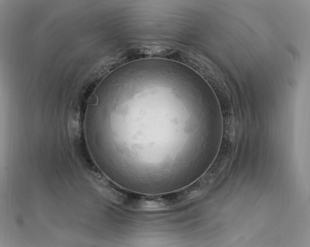 X0000112100510200908041514