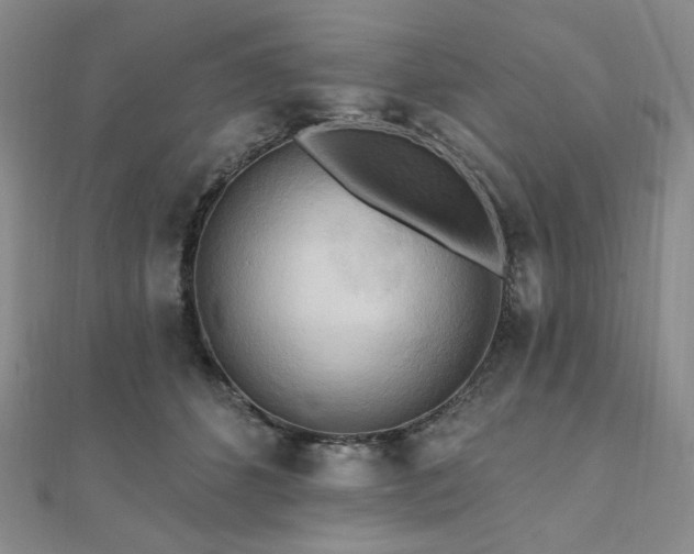 X0000112100512200908041514