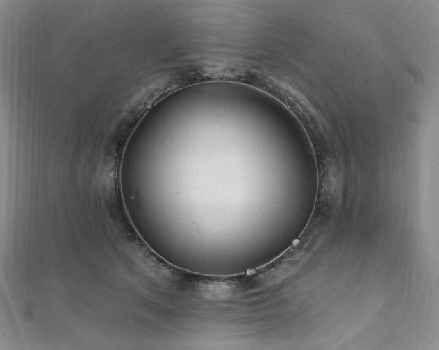 X0000112100513200908041514