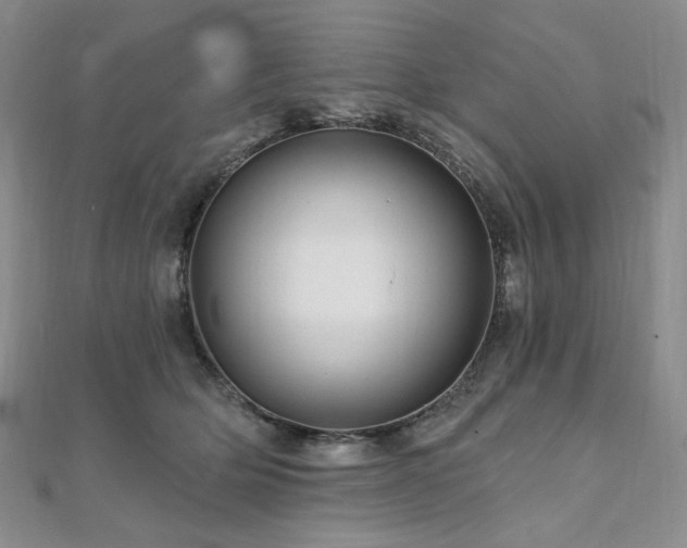 X0000112100514200908041514