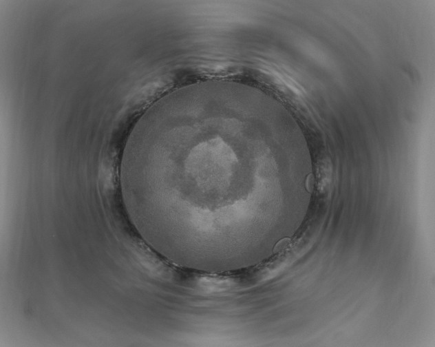 X0000112100515200908041514
