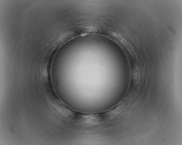 X0000112100516200908041514