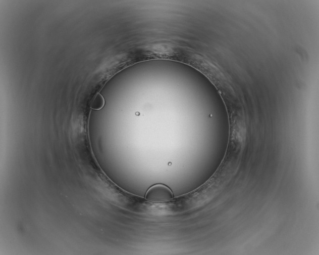 X0000112100518200908041514