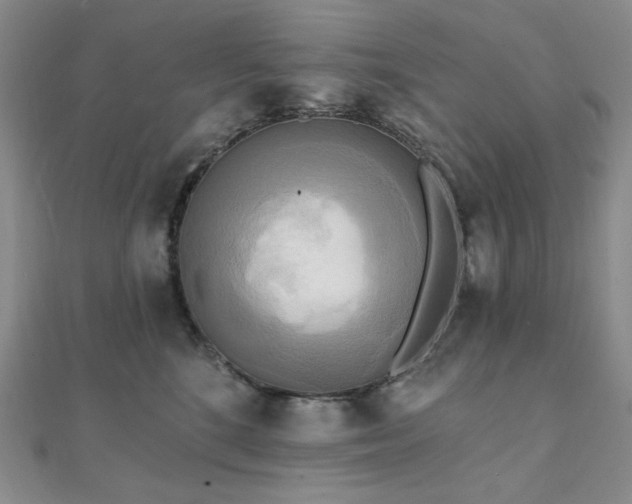 X0000112100520200908041513