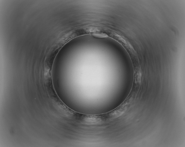 X0000112100521200908041513