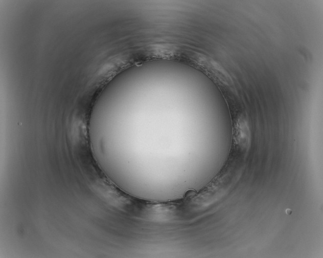 X0000112100522200908041513