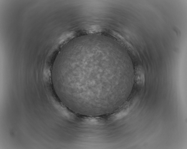 X0000112100523200908041513