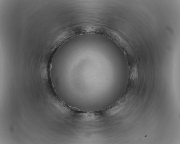 X0000112100524200908041513