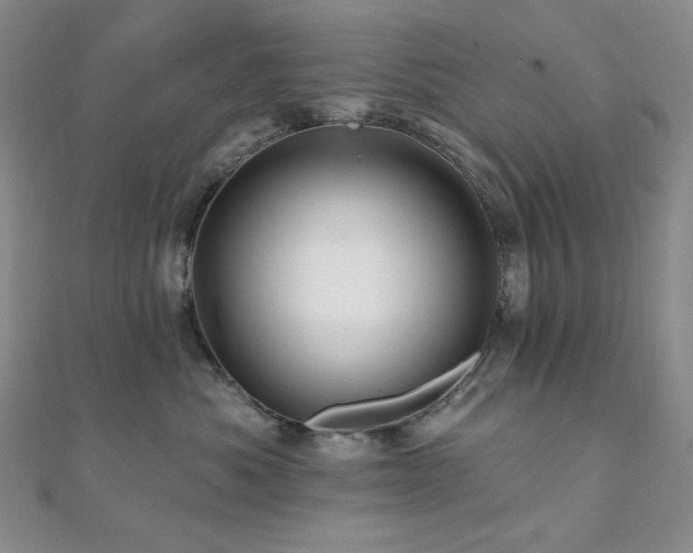 X0000112100525200908041513