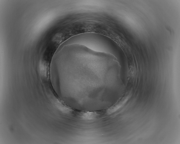 X0000112100527200908041513