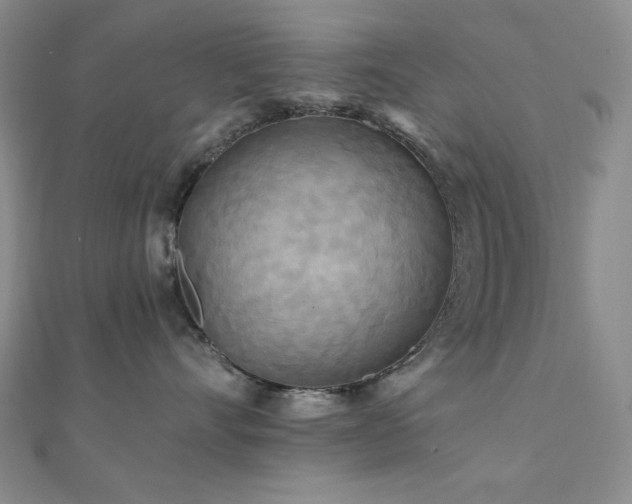 X0000112100528200908041513