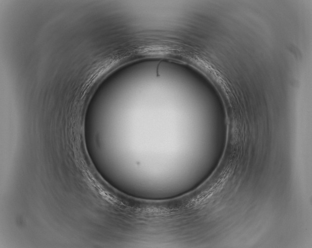 X0000112100529200908041513