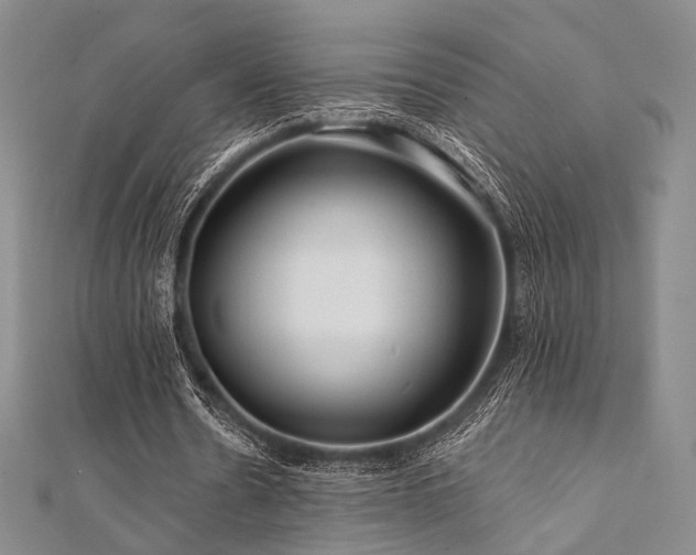 X0000112100530200908041513