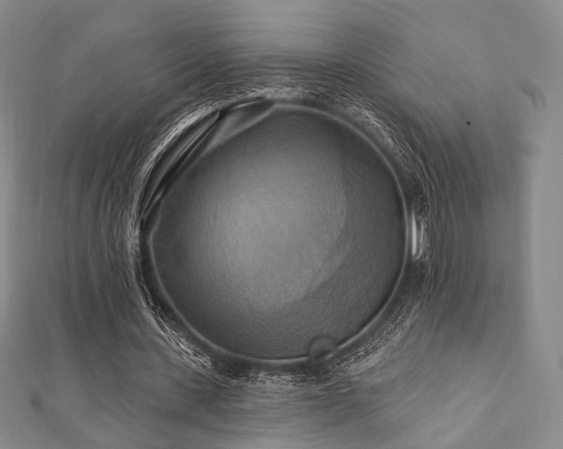 X0000112100531200908041513