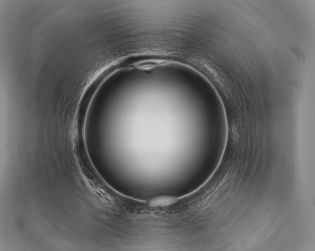 X0000112100532200908041513