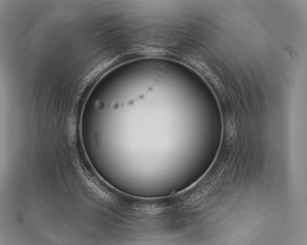 X0000112100533200908041513