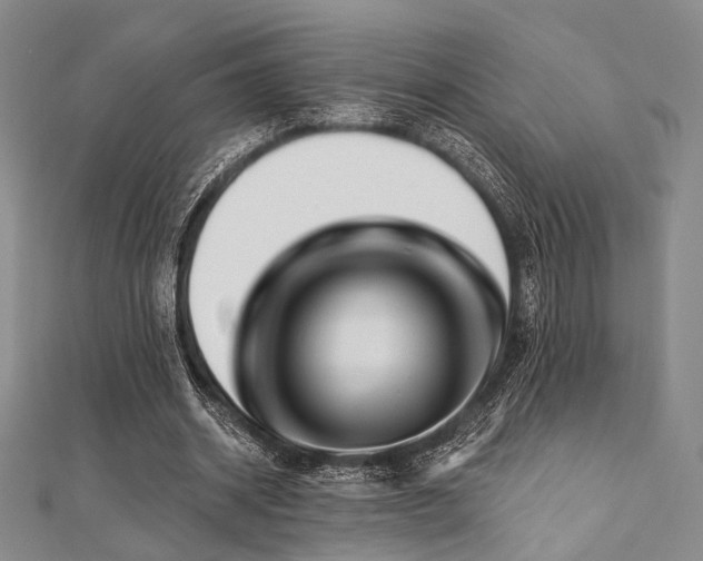 X0000112100534200908041513
