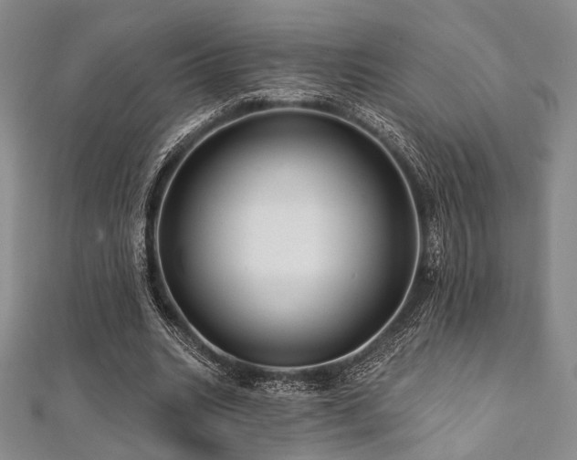 X0000112100535200908041513