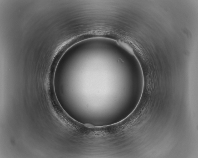 X0000112100536200908041513