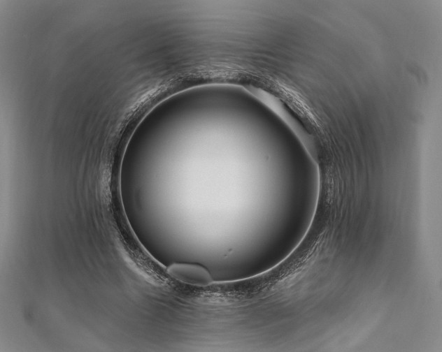 X0000112100538200908041513