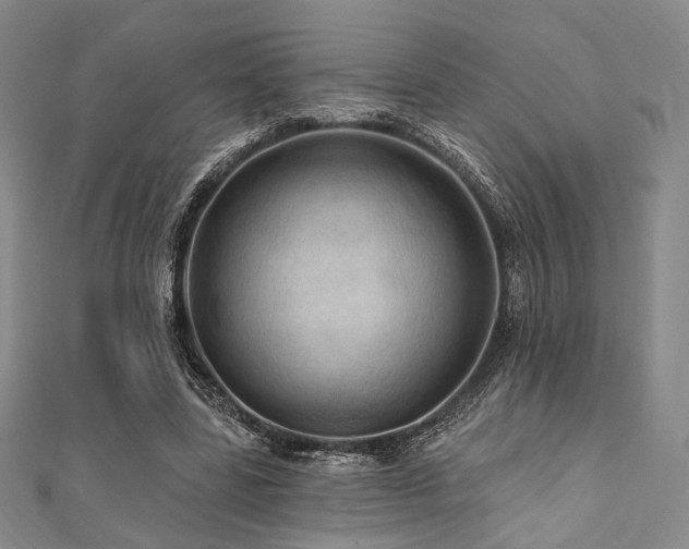 X0000112100539200908041513
