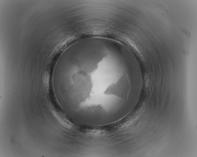 X0000112100542200908041513