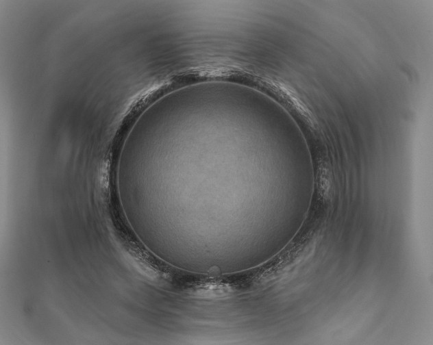 X0000112100543200908041513