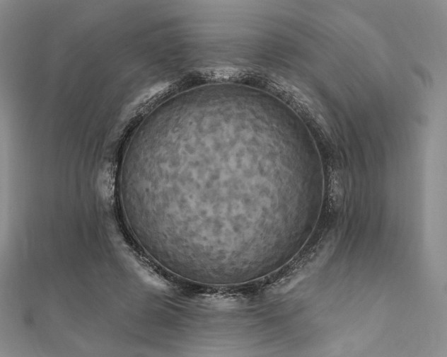 X0000112100545200908041513