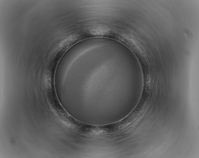 X0000112100547200908041513