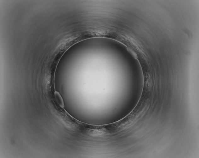 X0000112100548200908041513