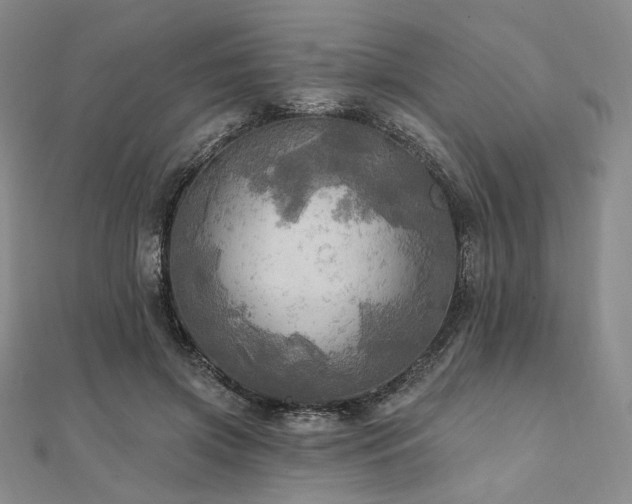 X0000112100549200908041513